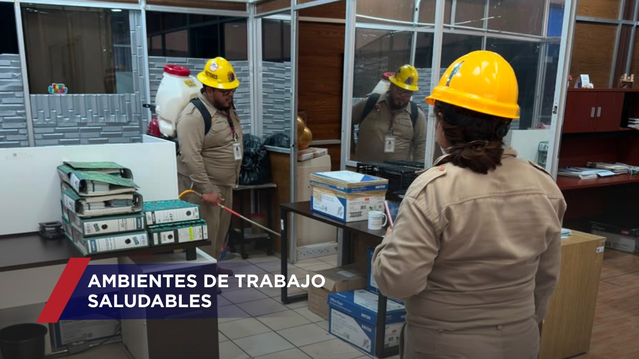 La acción preventiva refuerza el control del mosquito transmisor del dengue y otras enfermedades transmitidas por vectores.