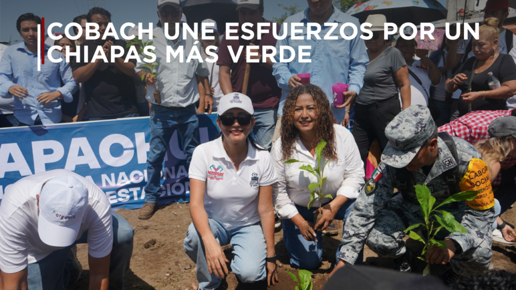Estudiantes, docentes, personal administrativo y familias del Colegio de Bachilleres de Chiapas participaron en la Jornada Nacional de Reforestación 2026, con acciones realizadas en distintas regiones del estado para fortalecer la conciencia ambiental y contribuir al cuidado de los ecosistemas.
