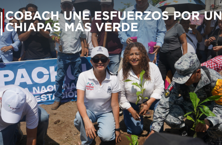 COBACH cumple su palabra: comunidad cobachense siembra más de 10 mil árboles en Chiapas