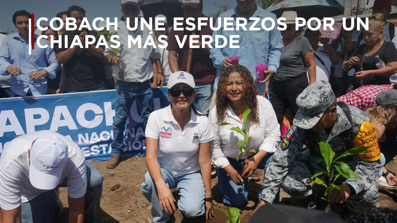 Estudiantes, docentes, personal administrativo y familias del Colegio de Bachilleres de Chiapas participaron en la Jornada Nacional de Reforestación 2026, con acciones realizadas en distintas regiones del estado para fortalecer la conciencia ambiental y contribuir al cuidado de los ecosistemas.